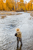 USA, Idaho, Bellevue, Ältere Frau beim Fliegenfischen im Big Wood River im Herbst