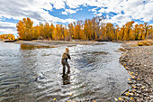 USA, Idaho, Bellevue, Ältere Frau beim Fliegenfischen im Big Wood River im Herbst