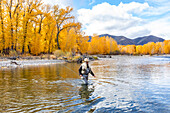 USA, Idaho, Bellevue, Ältere Frau beim Fliegenfischen im Big Wood River im Herbst