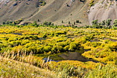 USA, Idaho, Sun Valley, Beaver ponds in fall 