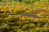 USA, Idaho, Sun Valley, Biberteiche im Herbst 