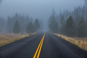 USA, Idaho, Stanley, Double yellow lined highway leads into foggy forest