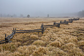 USA, Idaho, Stanley, Rail fence in rural scenery at fall 