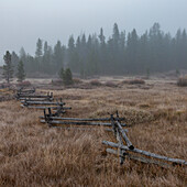 USA, Idaho, Stanley, Rural scene with rail fence and forest 