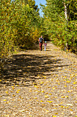 USA, Idaho, Bellevue, Vater und Tochter (6-7) wandern im Herbst auf einem Feldweg