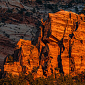 United States, Utah, Zion National Park, Sunset on red cliffs