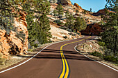 United States, Utah, Highway in Bryce Canyon National Park