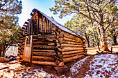 United States, Utah, Zion National Park, Abandoned log cabin in forest