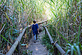 Boy (8-9) walking on boardwalk