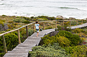 South Africa, Western Cape, Boy (8-9) walking on wooden bridge in Lekkerwater Nature Reserve