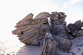 South Africa, Hermanus, Girl (16-17) exploring rock formations on Sopiesklip beach in Walker Bay Nature Reserve