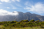 South Africa, Stanford, Klein mountains and green foliage