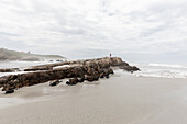 Südafrika, Hermanus, Junge (10-11) steht auf einer Klippe am Voelklip Beach