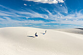 United States, New Mexico, White Sands National Park, People on dunes