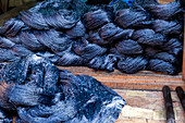Africa, Morocco, Skeins of agave silk freshly dyed in indigo