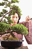 Frau beschneidet Bonsaibaum