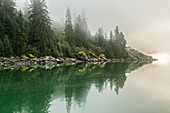 USA, Alaska, Tongass National Forest. Foggy shoreline and water reflection