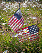 USA, Alaska, Ninilchik. US-Flaggen auf dem Friedhof der American Legion
