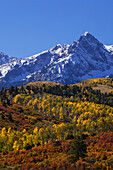 USA, Colorado, San Juan Mountains. Berg und Wald im Herbst