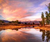 USA, California, Bishop. Sierra Nevada Range reflects in pond