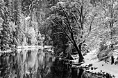 Merced River and Cathedral Rock in winter, Yosemite National Park, California, USA