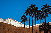 Palm Springs, California