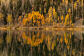 Espenbäume im Herbst, die sich bei Sonnenaufgang im Crystal Lake spiegeln, Uncompahgre National Forest, nahe Ouray, Colorado.