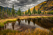 Espenbäume im Herbst, die sich in einem Teich spiegeln, nahe Ouray, Uncompahgre National Forest, Colorado
