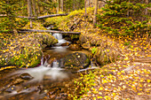 USA, Colorado, Rocky Mountain National Park. Wasserfall im Wald, malerisch