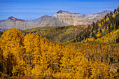 USA, Colorado, Uncompahgre National Forest. Autumn landscape and the Sneffels Range.