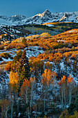 Dallas Mountain und San Juan Mountain Range, Colorado, Herbstfarben und goldglühende Espen.