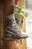 Old boots used a decoration, Pagosa Springs, Colorado, United States.