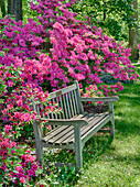 USA, Delaware. A dedication bench surrounded by azaleas in a garden.