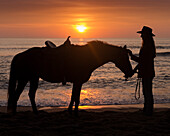 Pferd und Reiterin, Sonnenaufgang, Vilano Beach, Florida (MR)