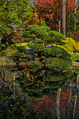 USA, Georgia, Jasper. Japanese Garden and pond in Gibbs Garden