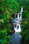 Umauma-Wasserfälle entlang der üppigen Hamakua-Küste, The Big Island, Hawaii, USA