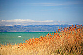 USA, Idaho, Bear Lake. Blick auf den Bear Lake mit türkisfarbenem Wasser.