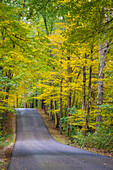 Kurvenreiche Straße im Clifty Creek Park, Süd-Indiana