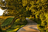 Ländliche Straße und Zaun bei Sonnenaufgang, Oldham County, Kentucky