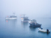 USA, Maine. Fishing boats in the harbor with fog.