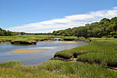 Feuchtgebiete, Barnstable, Cape Cod, Massachusetts, USA