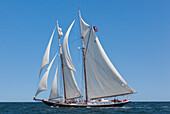 USA, Massachusetts, Cape Ann, Gloucester, America's Oldest Seaport, Gloucester Schooner Festival, schooner sailing ships