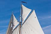 USA, Neuengland, Massachusetts, Cape Ann, Gloucester, Gloucester Schooner Festival, Schoner segeln