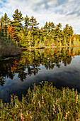 Irwin Lake and bog, Hiawatha National Forest, Upper Peninsula of Michigan.