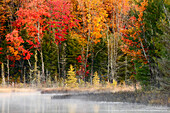 Herbstfarben und Nebel, die sich bei Sonnenaufgang auf dem Council Lake spiegeln, Hiawatha National Forest, Upper Peninsula of Michigan.