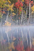 Herbstfarben und Nebelspiegelung auf dem Council Lake bei Sonnenaufgang, Hiawatha National Forest, Upper Peninsula of Michigan.