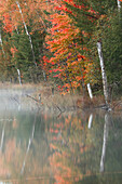 Autumn Colors and mist reflecting on Council Lake at sunrise, Hiawatha National Forest, Upper Peninsula of Michigan.