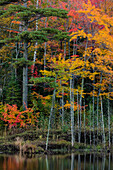 Small lake with autumn color near Marquette, Michigan USA