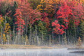 Michigan, Upper Peninsula, Hiawatha National Forest, Herbstfarben an einem nebligen See.