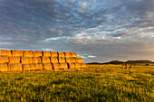 Hay bales and Chalk Buttes receive beautiful morning light near Ekalaka, Montana, USA (Large format sizes available)